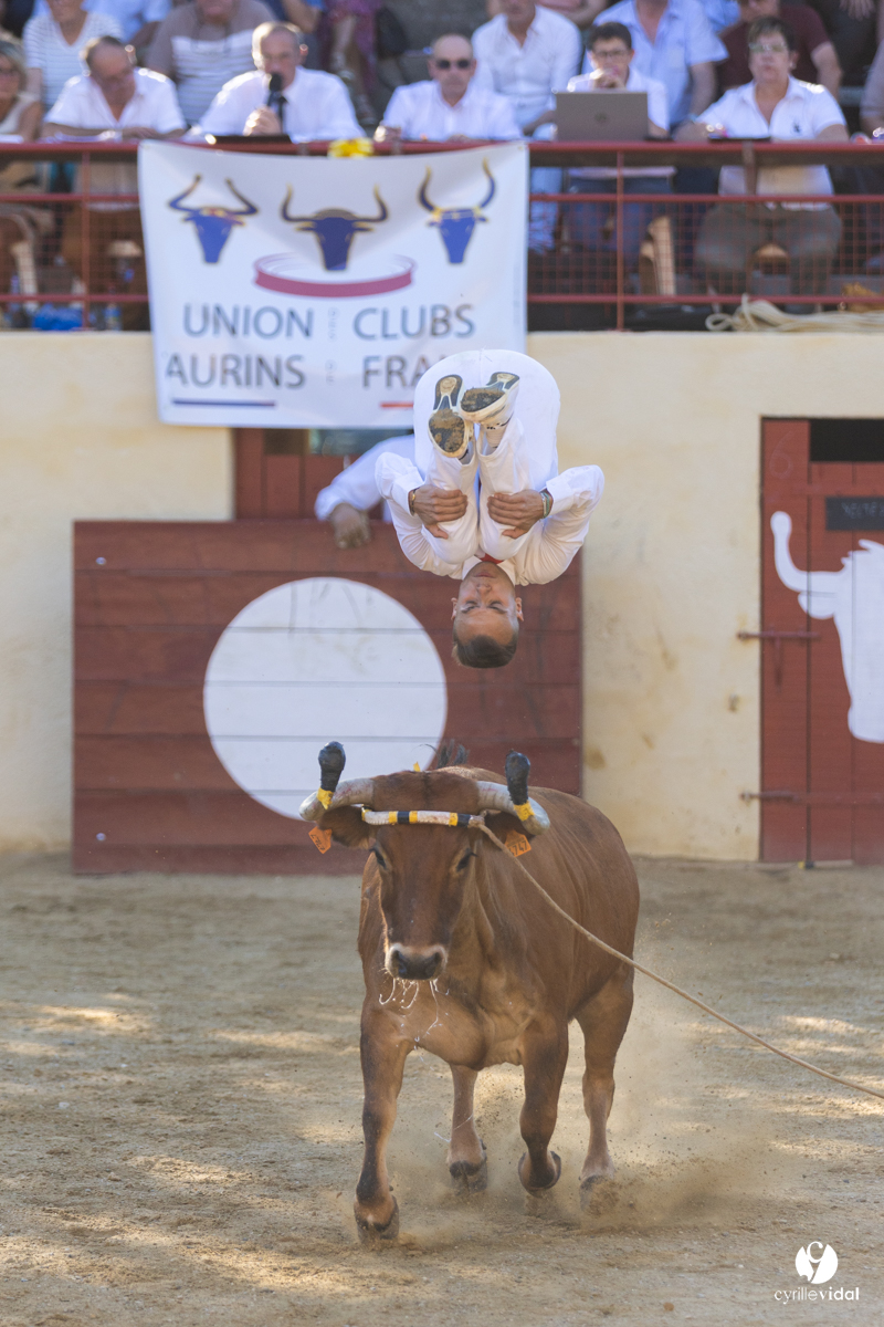 Course landaise