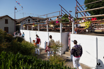 2025-07-05-1194.jpg