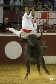 course landaise