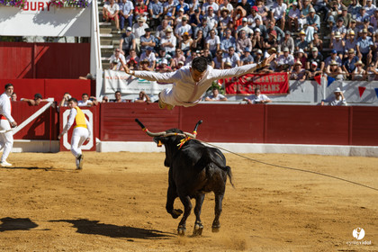 Aire-sur-l'Adour Championnat de France de course landaise 2023