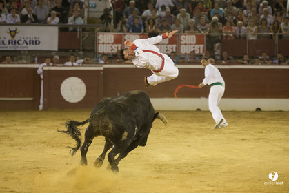 course landaise