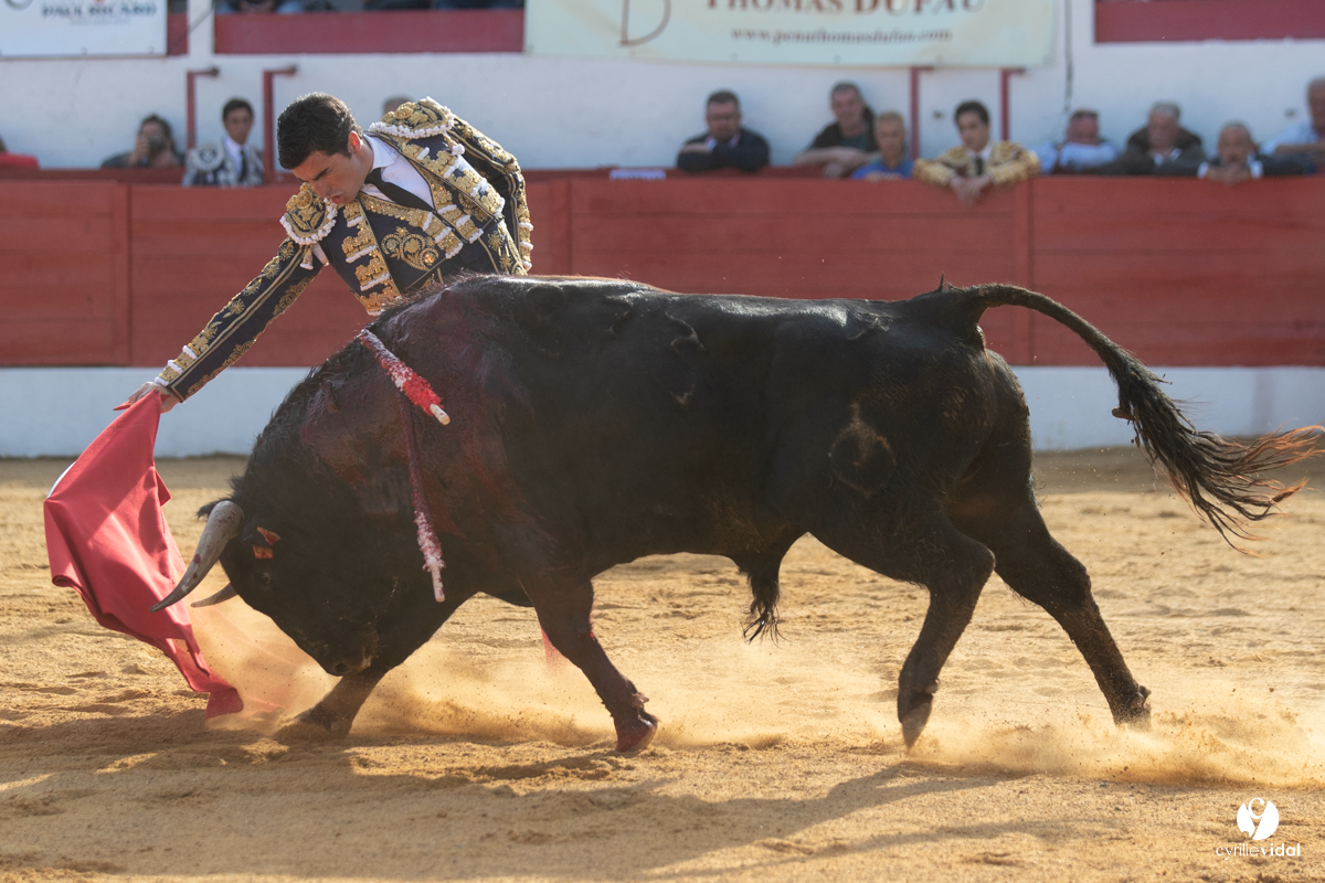 Corrida Aignan