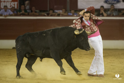 course landaise