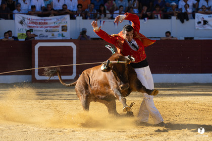 Aire-sur-l'Adour Championnat de France de course landaise 2023