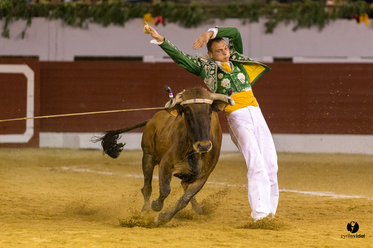 Aire sur l'Adour course landaise génération Aturine