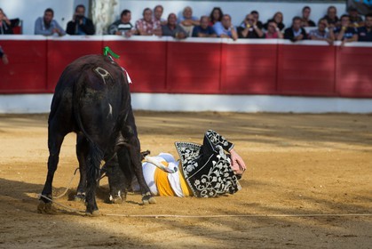 3175.jpg