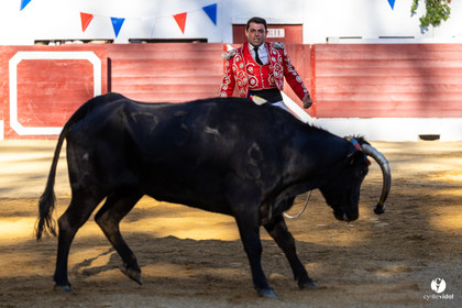Aire-sur-l'Adour Championnat de France de course landaise 2023