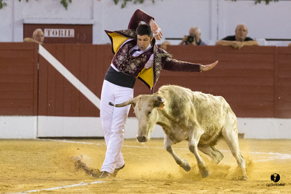 Aire sur l'Adour course landaise génération Aturine