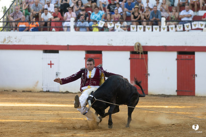 Course landaise à Panjas
