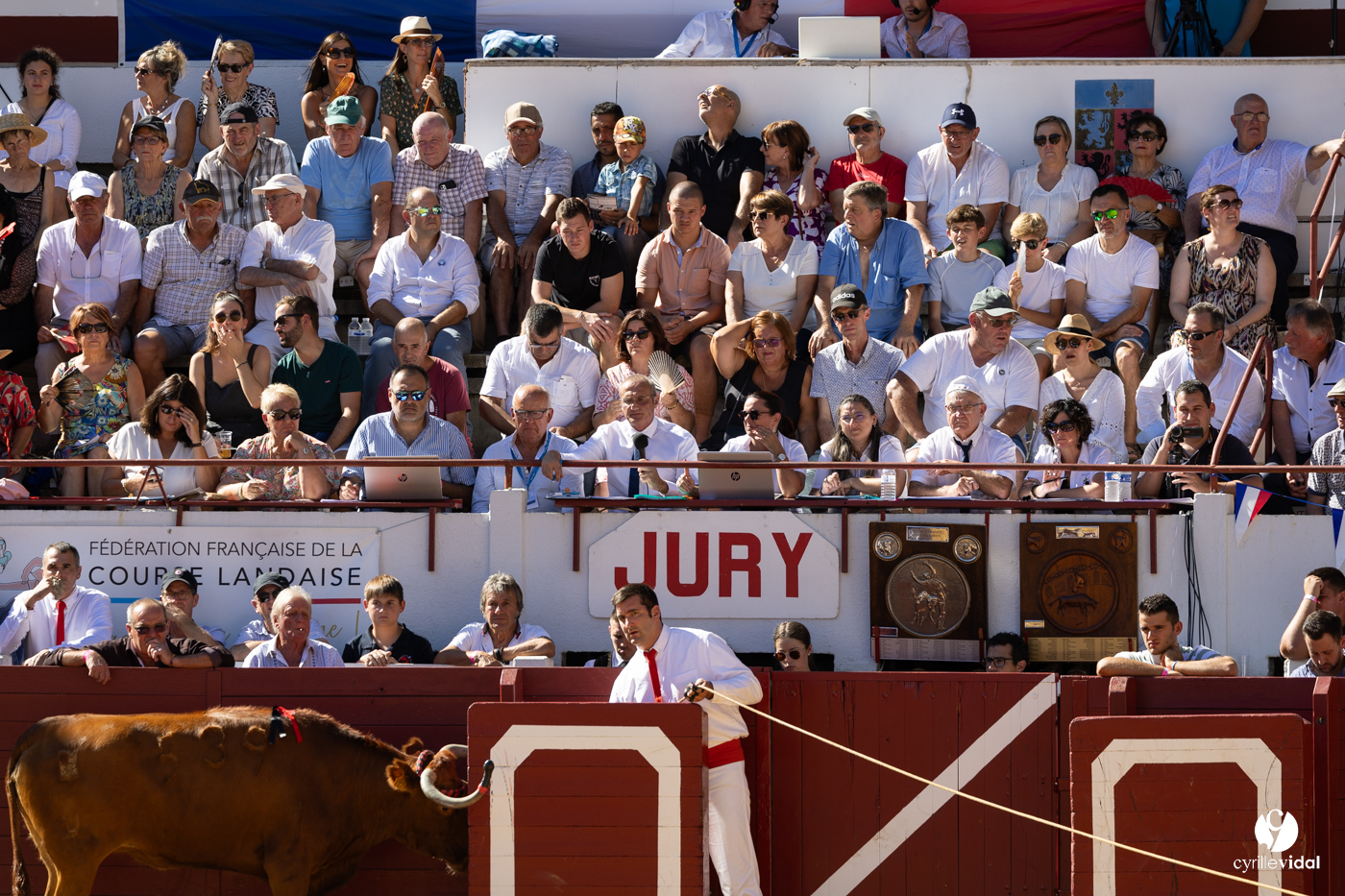 Aire-sur-l'Adour Championnat de France de course landaise 2023 Aire-sur-l'Adour Championnat de France de course landaise 2023