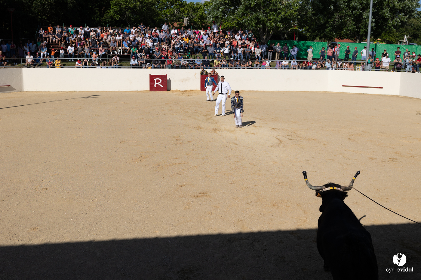2023-07-02-2459.jpg