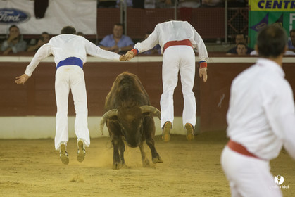 course landaise