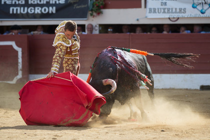 corrida, toro, vic fezensac, alcurrucen, michelito, morenito de aranda