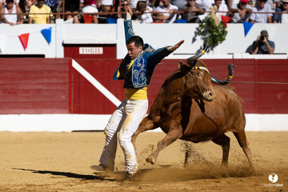 Aire-sur-l'Adour Championnat de France de course landaise 2023