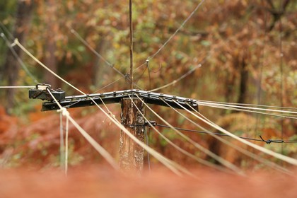 2008-10-28-2013.jpg