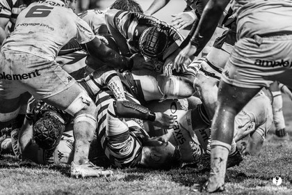 Stade Montois Rugby - Provence