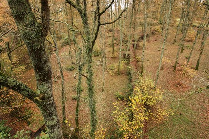 2008-11-19-7622.jpg