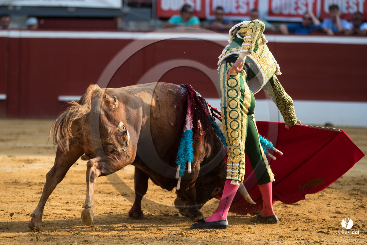 Mont-de-Marsan corrida de Jandilla pour Padilla - Talavante - Roca Rey