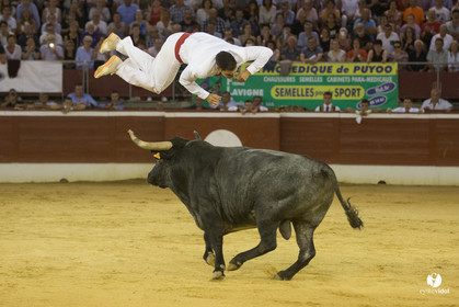 course landaise