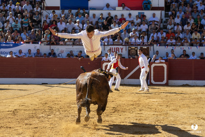 Aire-sur-l'Adour Championnat de France de course landaise 2023