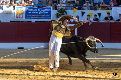 Aire-sur-l'Adour Championnat de France de course landaise 2023