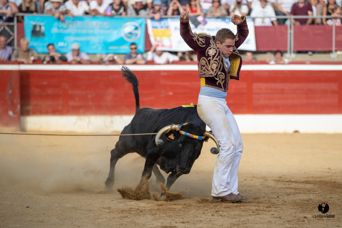 Mont-de-Marsan championnat de France de course landaise 2019