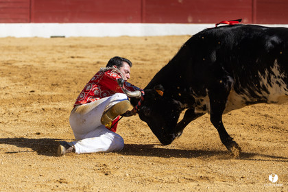 Aire-sur-l'Adour Championnat de France de course landaise 2023